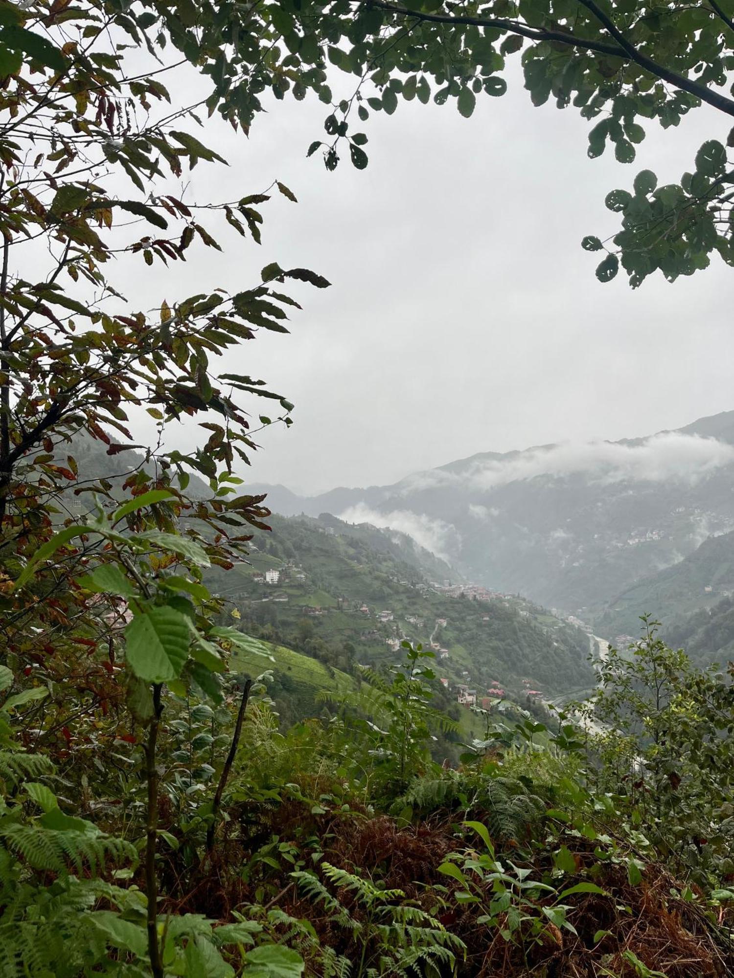 Relax Dag Evleri Rezistans Ayder Dikkaya  외부 사진