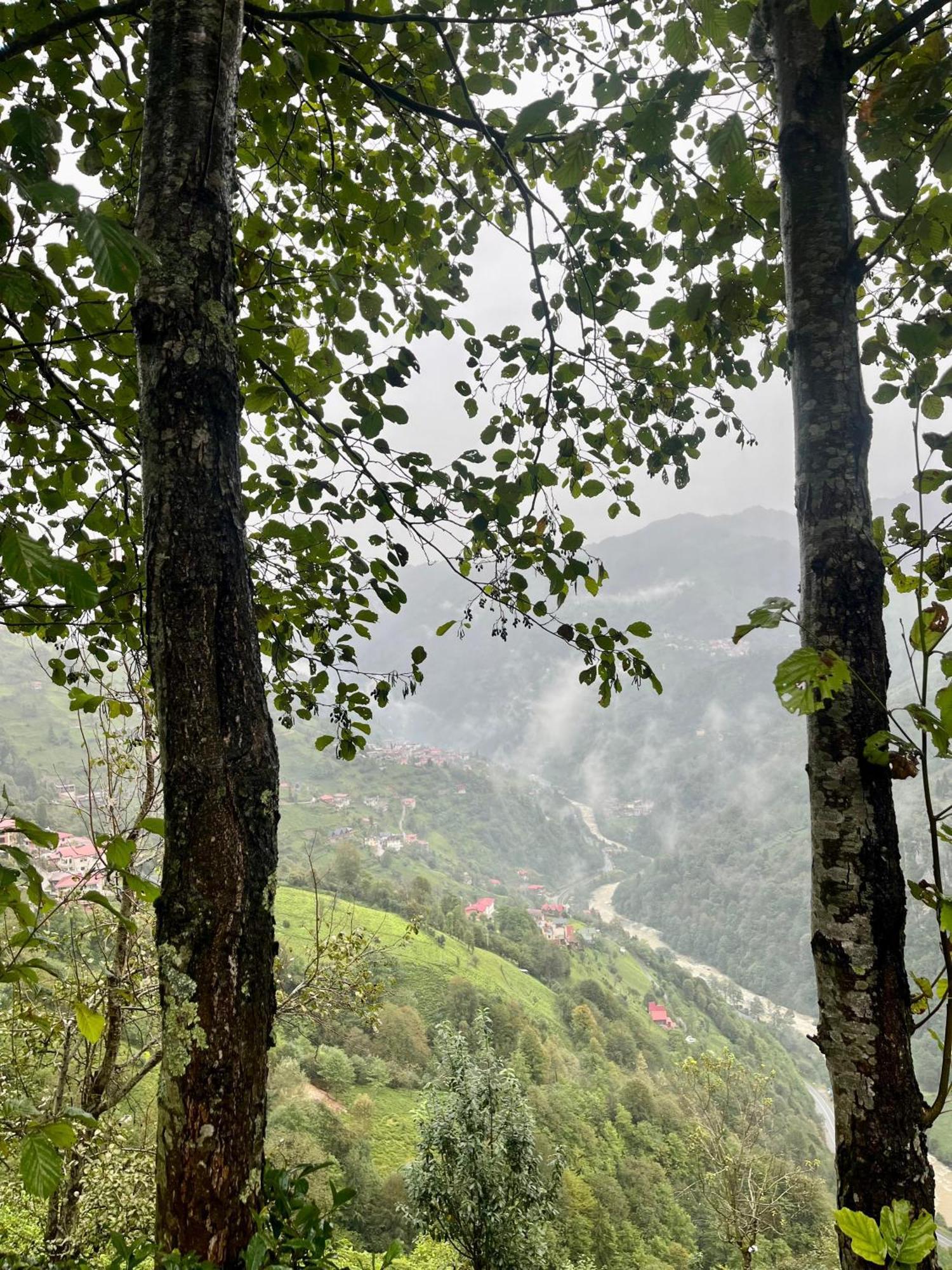 Relax Dag Evleri Rezistans Ayder Dikkaya  외부 사진