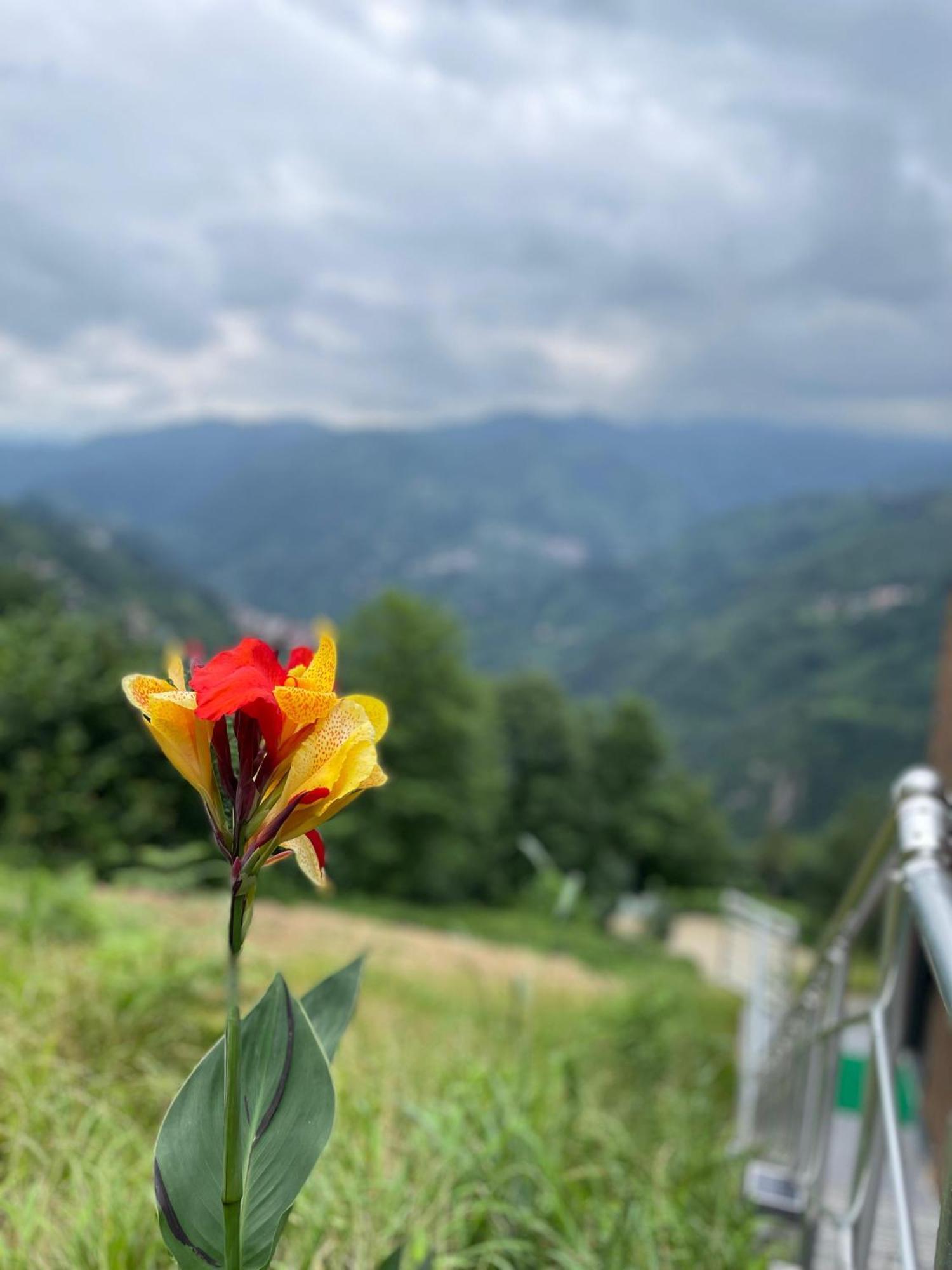 Relax Dag Evleri Rezistans Ayder Dikkaya  외부 사진