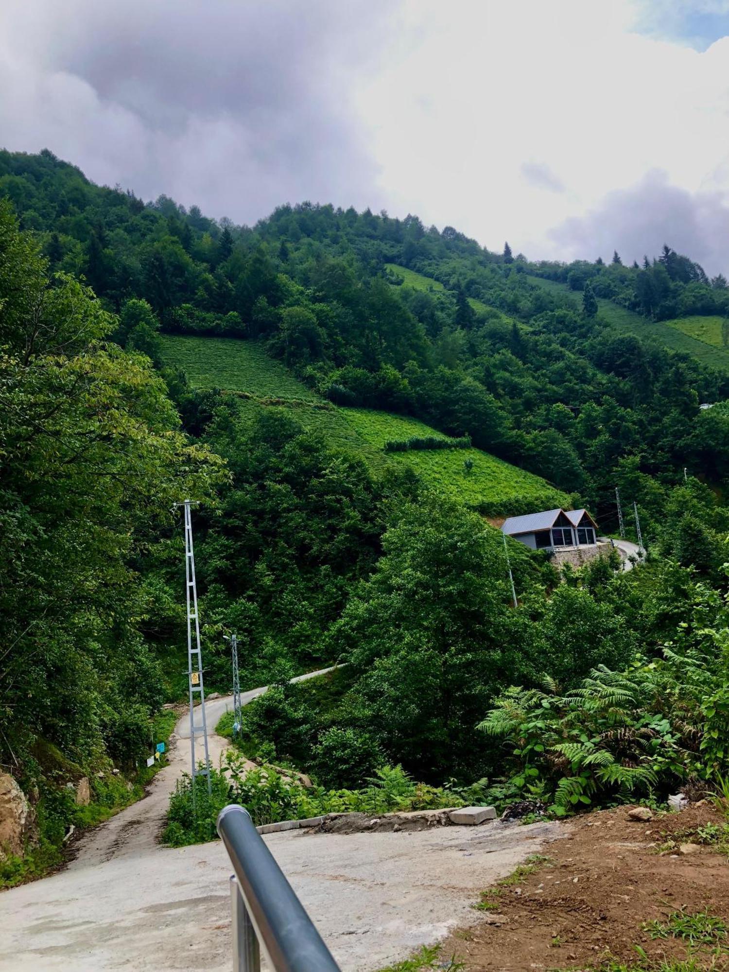 Relax Dag Evleri Rezistans Ayder Dikkaya  외부 사진